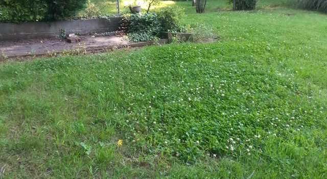 Photo of 5612 Germanton, Winston Salem, NC 27105