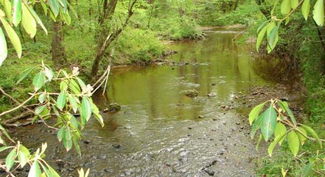 Photo of 00 Dan Rd, Robbins, NC 27325