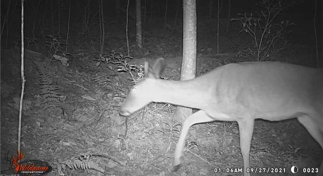 Photo of Lot 21 Rosebrier Rd, Boomer, NC 28606