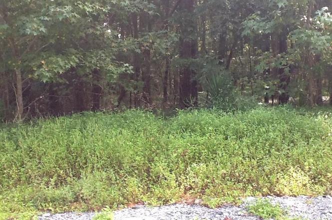 4400 Harwood Rd, Greensboro, NC 27406 | MLS# 952990 | Redfin