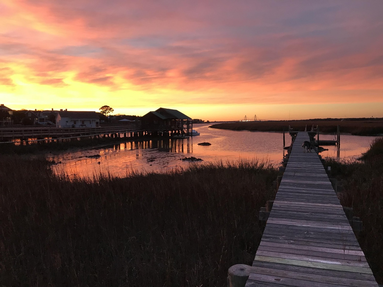 1652 Thompson Ave, Sullivans Island, SC 29482 | Redfin