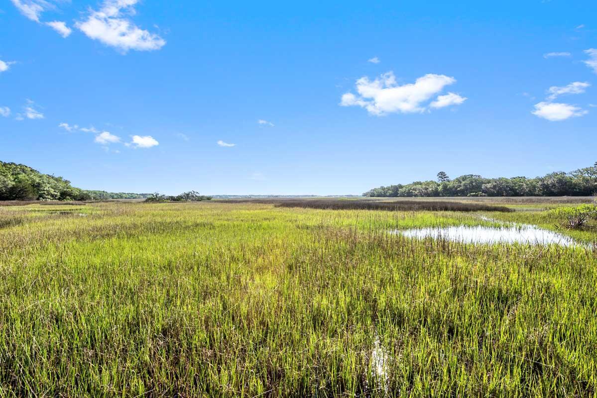 2660 Cherry Point Rd, Wadmalaw Island, SC 29487 | MLS# 23008811 | Redfin