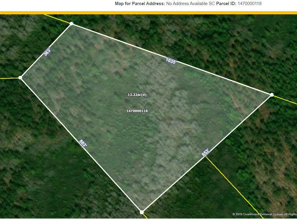12+ Acre of Undeveloped Raw Land