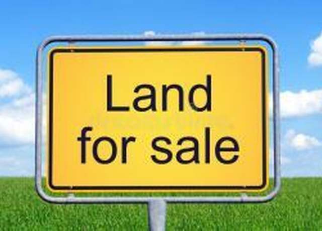 Property at 0 Gaines Cir, Cottageville, SC 29435