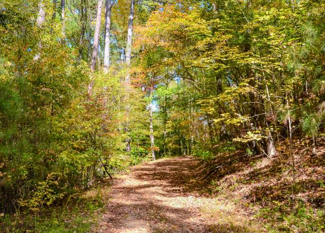 Property at 0 Rocky Branch Rd, Gaffney, SC 29340