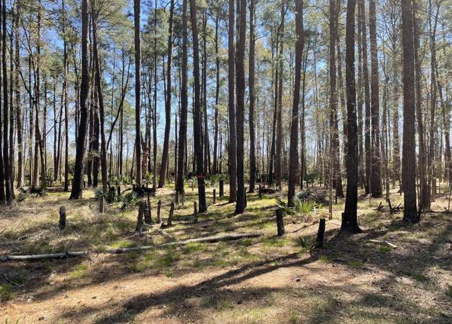 Property at 0 Backfield Rd, Walterboro, SC 29488