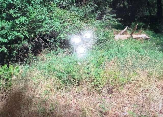 Property at 0 Plantation Estates Ln, Gaston, SC 29053