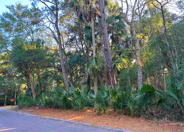 Property at 3137 Privateer Creek Rd, Seabrook Island, SC 29455