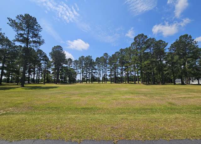 Property at 423 Pinelake Ct, Manning, SC 29102