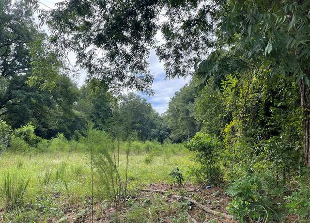 Property at Weimer Weimer & Pentecostal Bamberg, Sc, Bamberg, SC 29003
