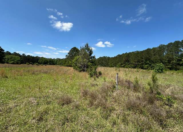 Property at 0 Willtown Rd, Hollywood, SC 29449