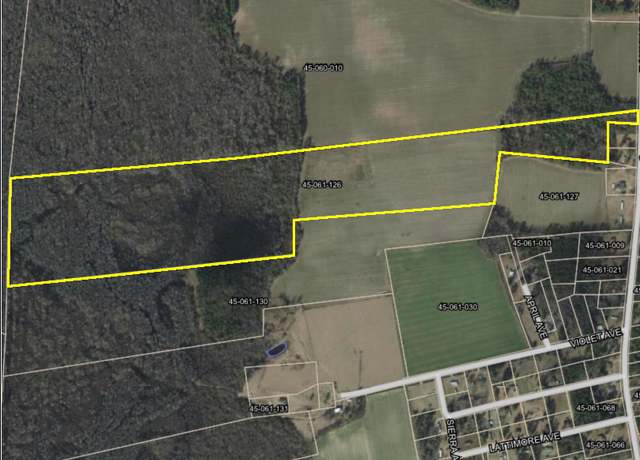Property at 413 Lynchburg, Kingstree, SC 29556