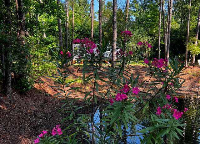 Property at 7810 Turtle Hill Ln, Edisto Island, SC 29438