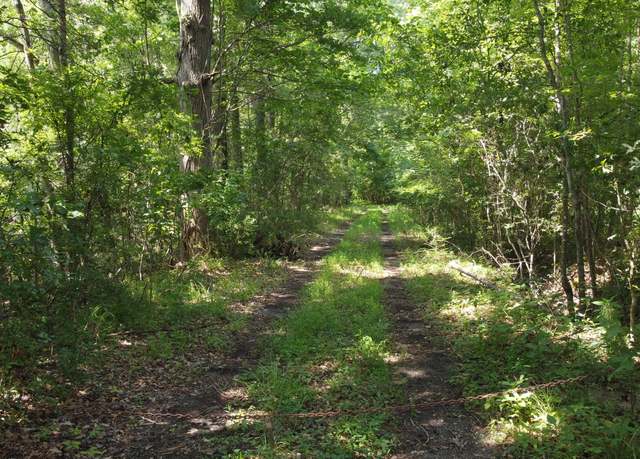 Property at 0 Rudd Rd, Ridgeville, SC 29472