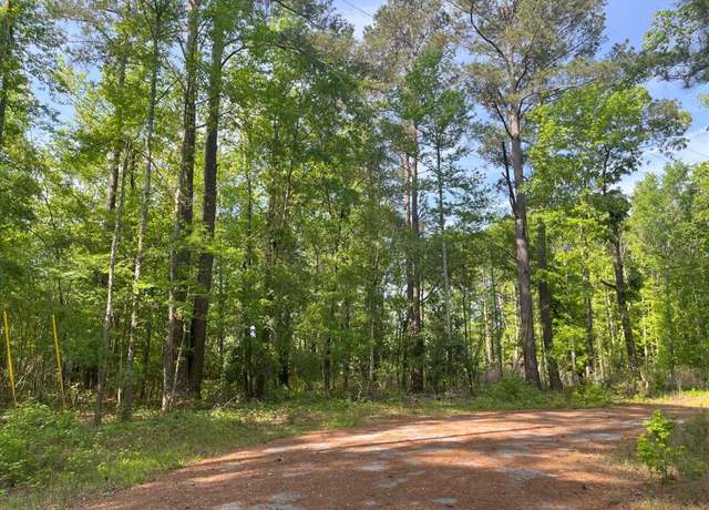 Property at 0 Robin Dr, Bamberg, SC 29003