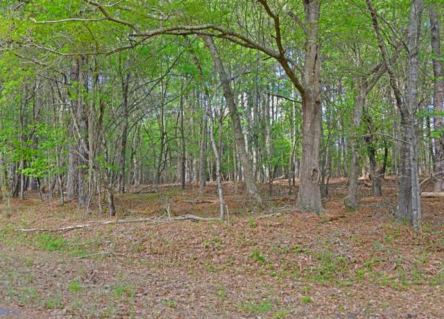 Property at 0 Ridgelake(15-a,15-b) Cir, Saint Matthews, SC 29135