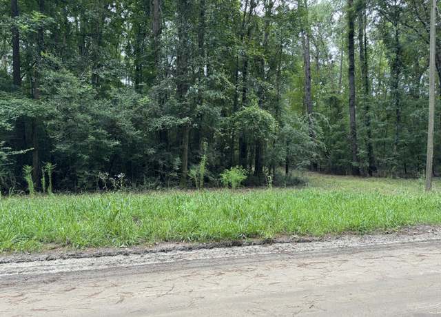 Property at 0 Michelle Ln, Johns Island, SC 29455