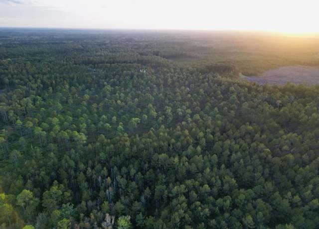 Property at 0000 Peniel Rd, Walterboro, SC 29488