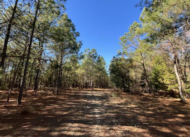 Property at 0000 S-3-52, Allendale, SC 29810