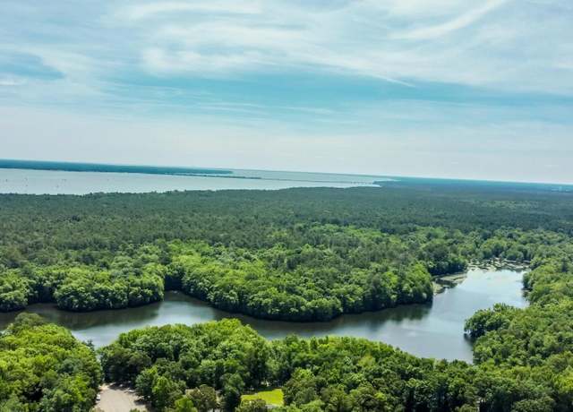 Property at 0 Loblolly Ct, Elloree, SC 29047