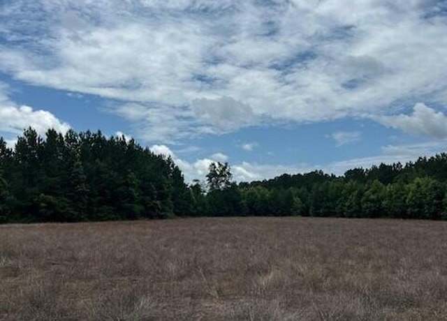 Property at Lot B-1 Reeves Farm Rd, Saint George, SC 29477