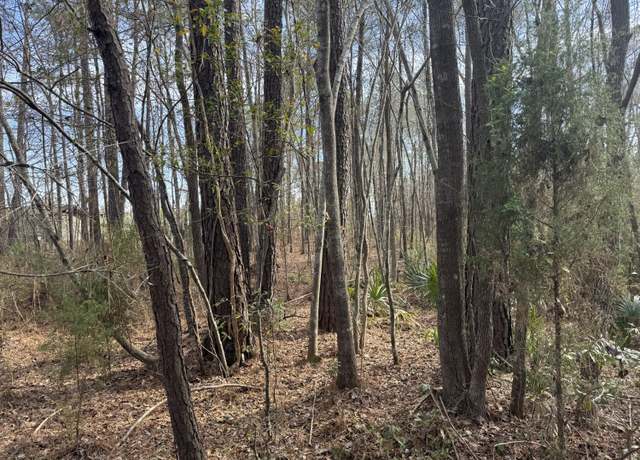 Property at 0 Branton Ln, Moncks Corner, SC 29461
