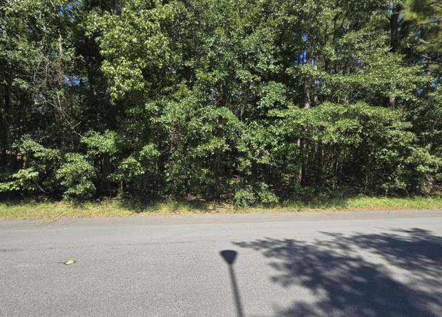 Property at 0 Essex Dr, Orangeburg, SC 29118