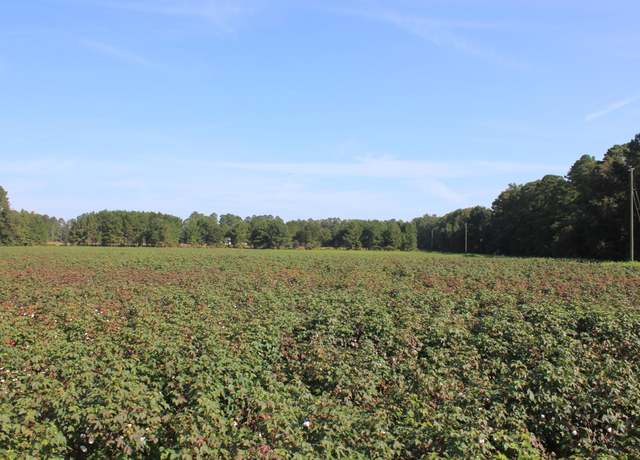 Property at 0 Old Highway 6, Santee, SC 29142