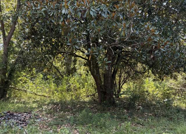 Property at 0 Cotton St, Denmark, SC 29042