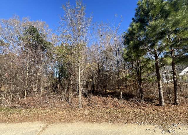 Property at 0 Tennis Ln, Summerton, SC 29148