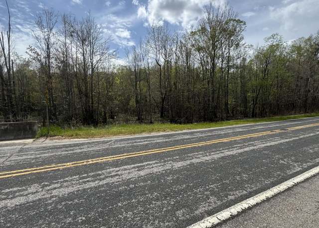 Property at 0 Brewer Rd, Manning, SC 29102