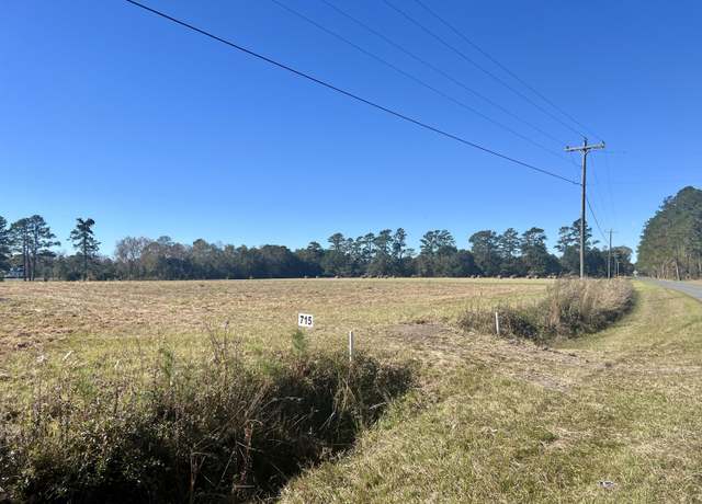 Property at 715 Nunuville Rd, Walterboro, SC 29488