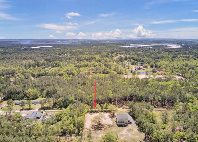 Property at 219 Sarah Lincoln Rd, Wando, SC 29492