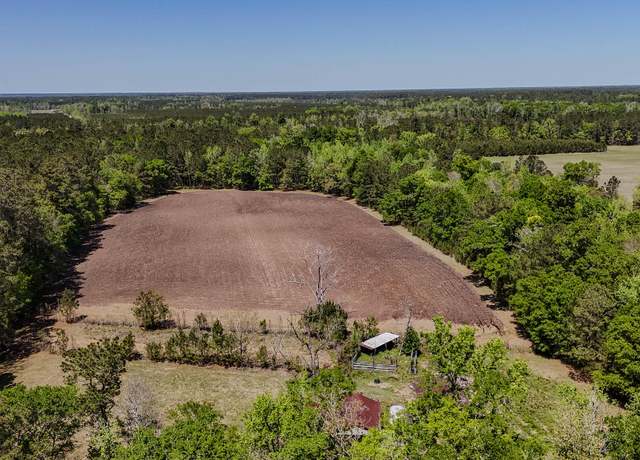 Property at 1296 Risher Mountain Rd, Walterboro, SC 29488