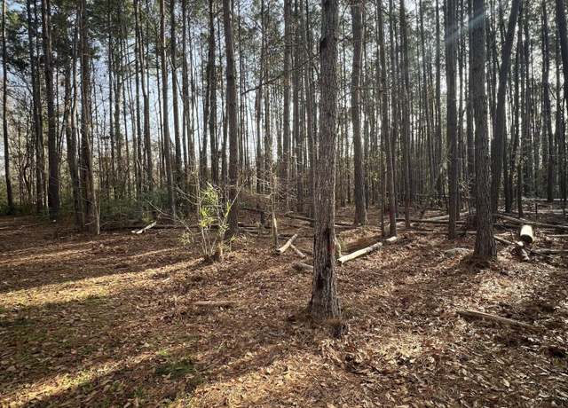 Property at 0 Ashe Brown Rd, Adams Run, SC 29426