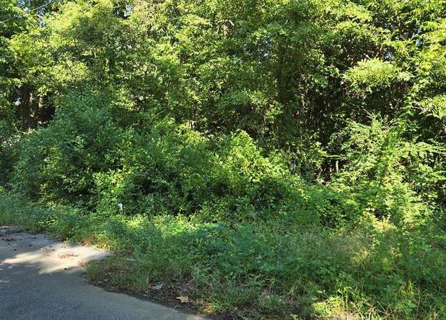 Property at 00 Anna St, Orangeburg, SC 29115