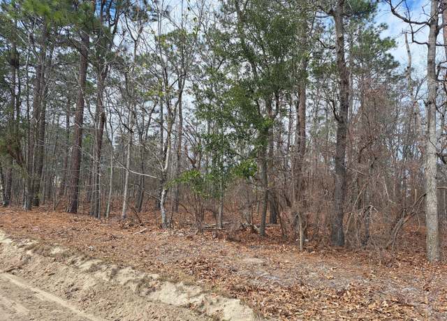 Property at 01 Ripley Ct, Elloree, SC 29047