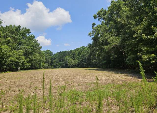 Property at Lot 2A M W Rickenbaker Rd, Summerton, SC 29148