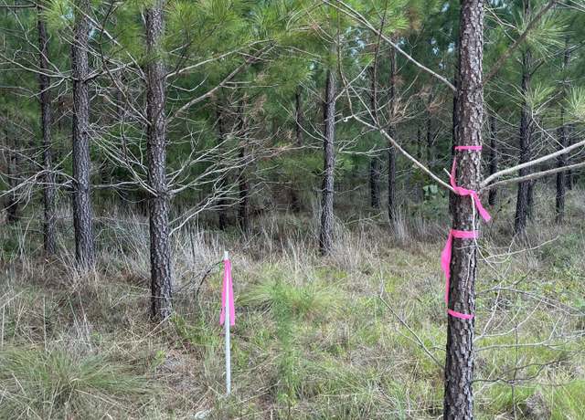 Property at Bff 4 Brunson Teal Rd Unit Bff 4, Patrick, SC 29584