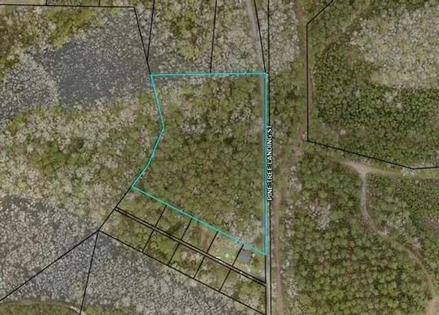 Property at 0 Pine Tree Landing Rd, Andrews, SC 29510