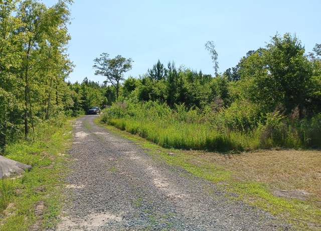Property at 00 Primus Dr, Saint George, SC 29477