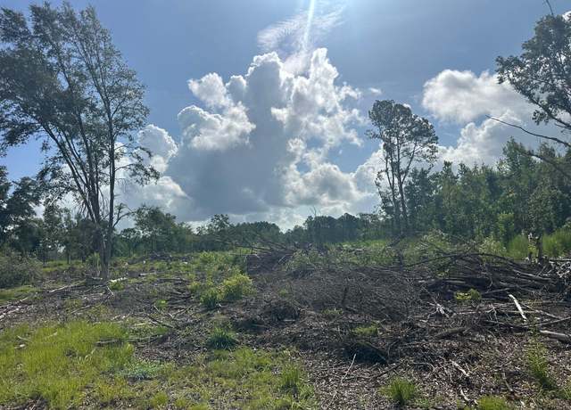 Property at 0 Utsey Hill Rd, Saint George, SC 29477