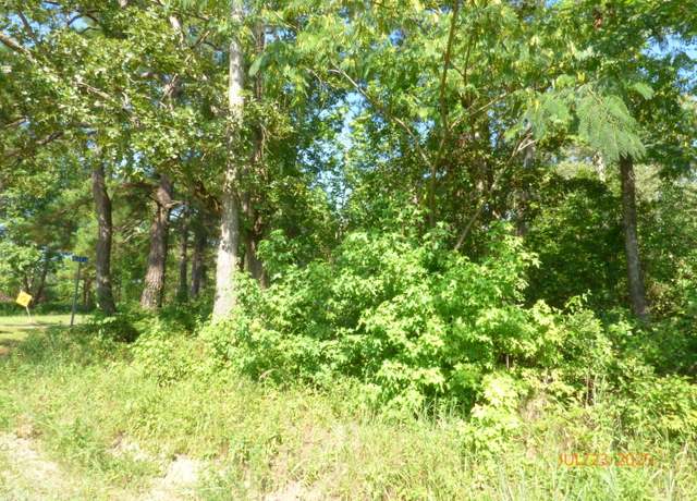 Property at 0 Big Woods Rd, Pineville, SC 29468
