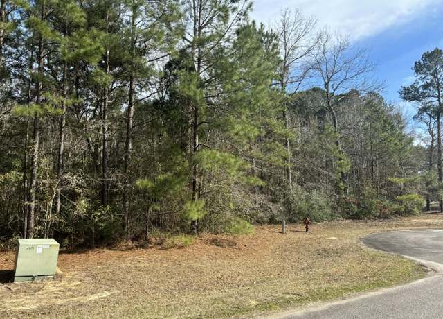 Property at 226 Spotted Owl Ln, Moncks Corner, SC 29461
