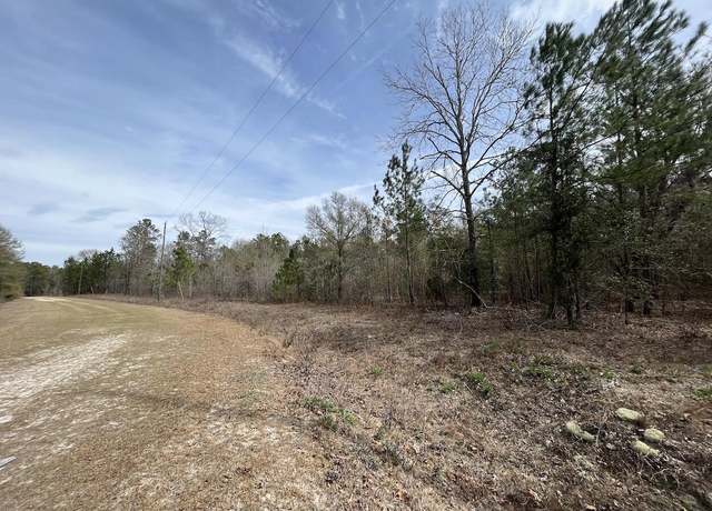 Property at 595 China Ct, Walterboro, SC 29488
