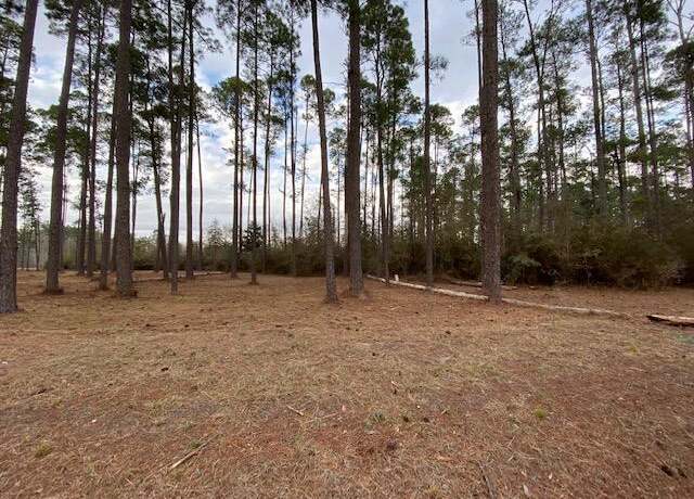 Property at 00 Fairway Dr, Hampton, SC 29924