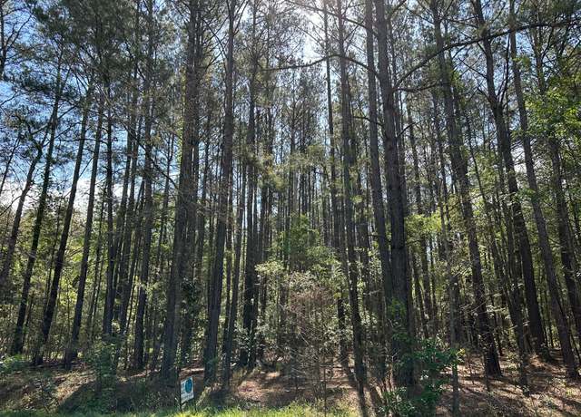 Property at 0 Mallard Rd, Summerville, SC 29483
