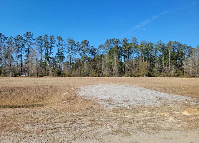 Property at 0 Academy Rd Lot 9, Walterboro, SC 29488