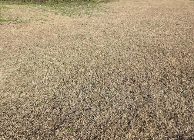Property at 0 Bass Dr, Holly Hill, SC 29059
