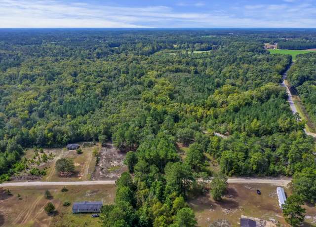 Property at 0 New Bridge Rd, Nichols, SC 29581
